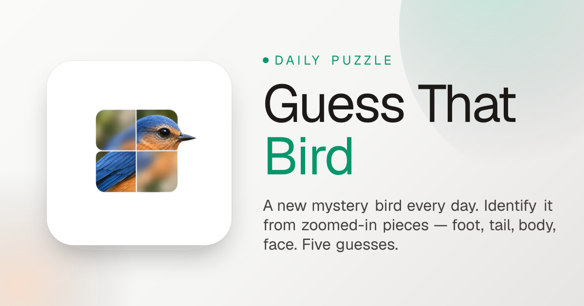 Guess That Bird preview artwork